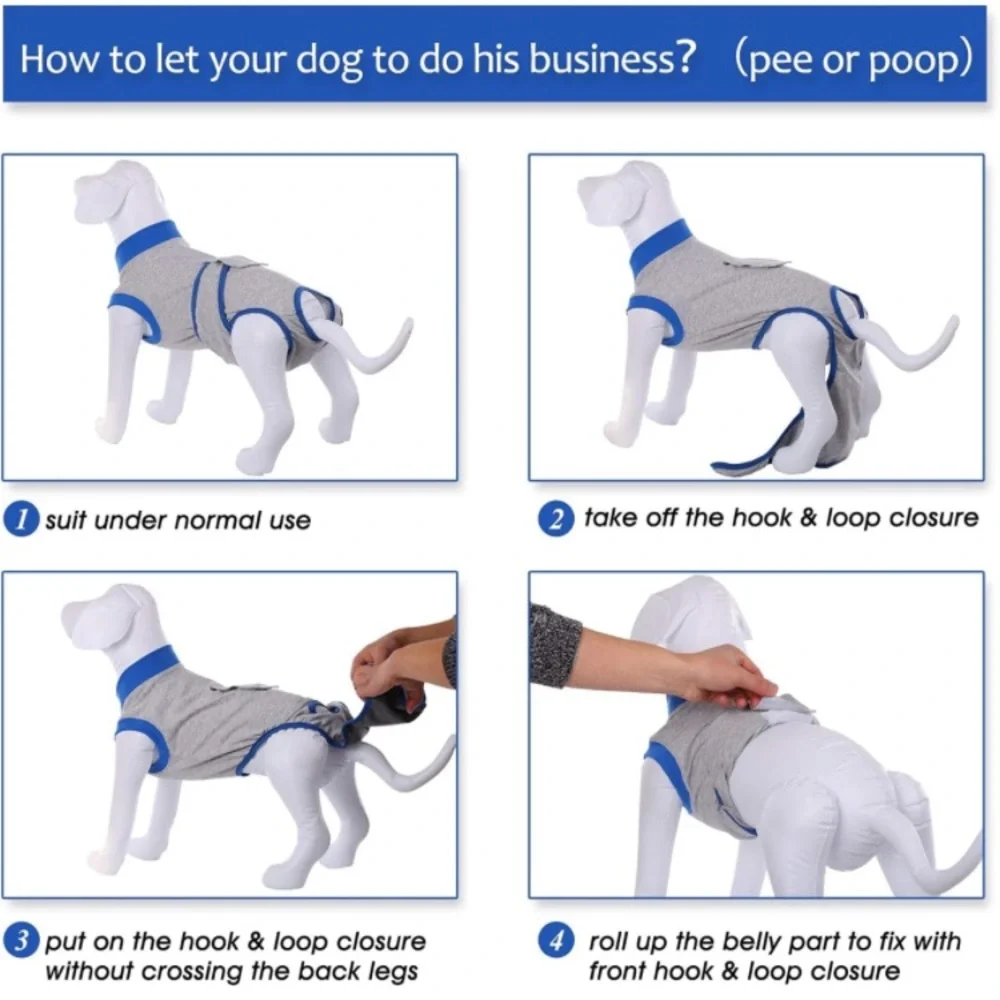 N/A kuoser dog